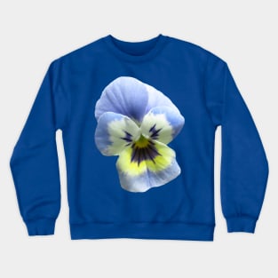 blue pansy flower, pansies, violets, bloom, viola Crewneck Sweatshirt